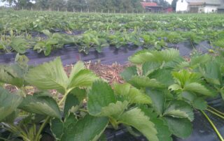 Foto: vlastita arhiva